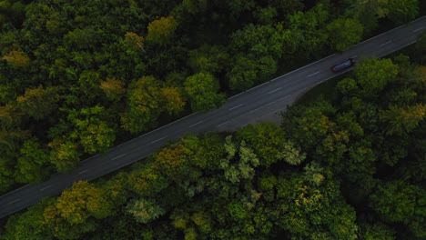 aerial top shot above a street leading through a forest while a car is passing by the diagonal orientated road