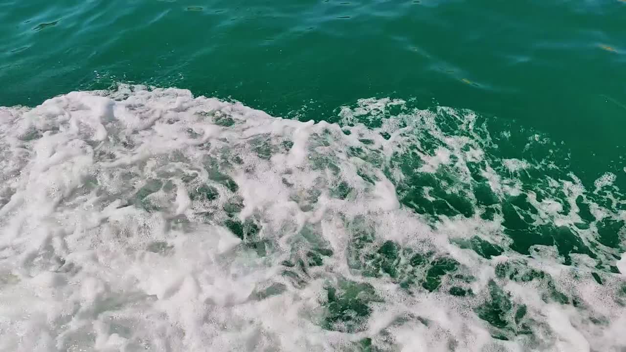 보트 옆에 야생 열린 바다