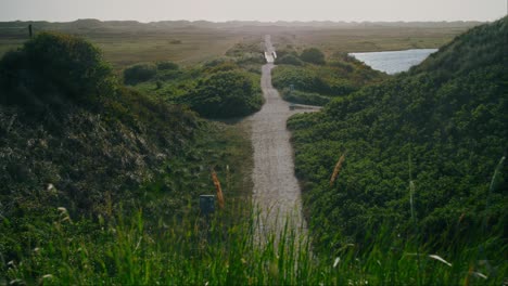 Camino-Vacío-A-Través-De-Los-Prados-Daneses-De-Principios-De-Verano.