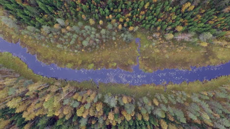 beautiful aerial view of a river in the boreal wilderness