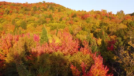 Paisaje-De-Montreal-En-Un-Colorido-Bosque-Otoñal-Con-La-Hora-Dorada-Acercándose,-Toma-Aérea-Amplia