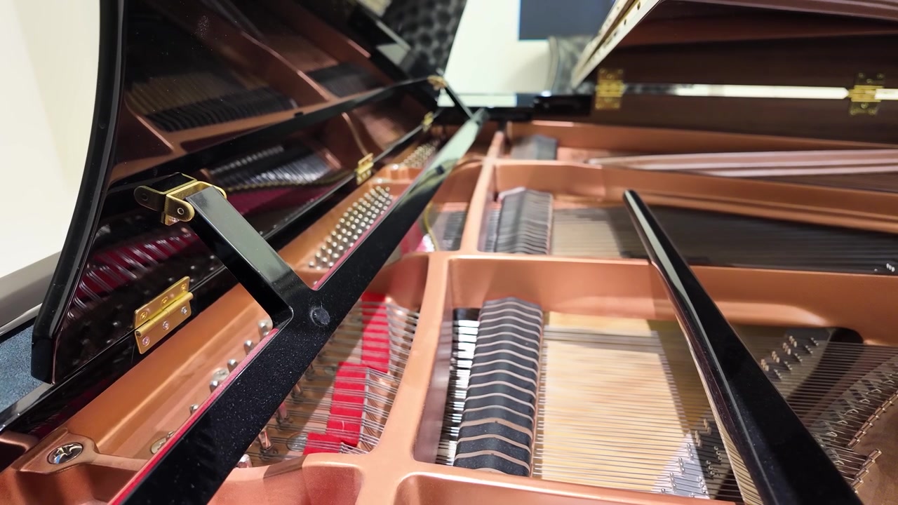Vista ravvicinata all'interno di un pianoforte a coda che mostra martelletti e corde in movimento