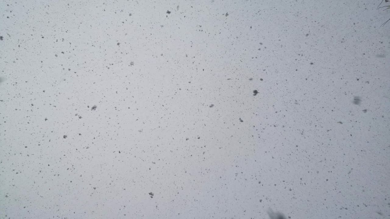 la nieve cae del cielo nublado, la cámara dispara al cielo