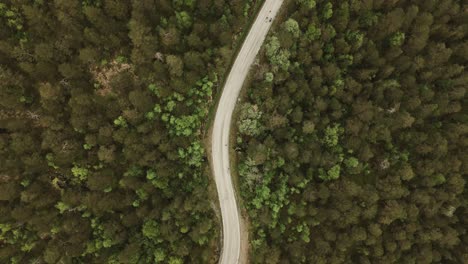 Winding-road-in-mountain-forest-of-Norway,-aerial-top-down-view