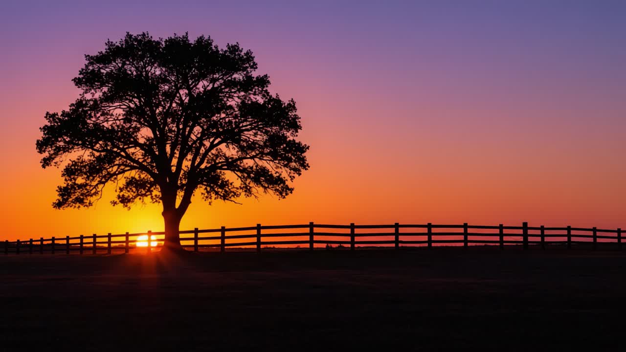 Silhouette of a Majestic Tree Against a Vibrant Sunset Sky with a Wooden Fence in the Foreground, Capturing the Beauty of Nature at Dusk