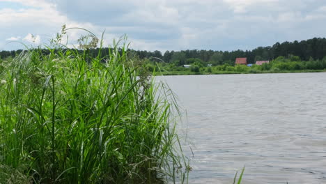 tranquil lakeside scene