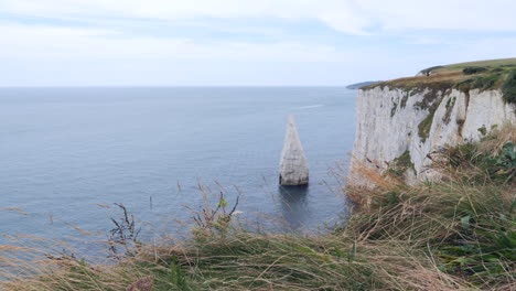 sea stack and white cliffs of southern english jurassic coast static