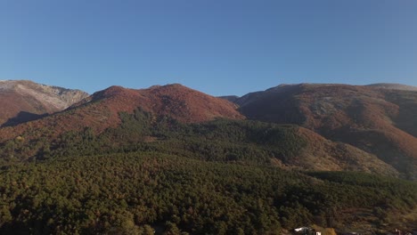 stunning morning drone footage starting with the balkan mountains and a pine forest, pulling back to reveal sopot, bulgaria, bathed in golden hour light under a clear blue autumn sky