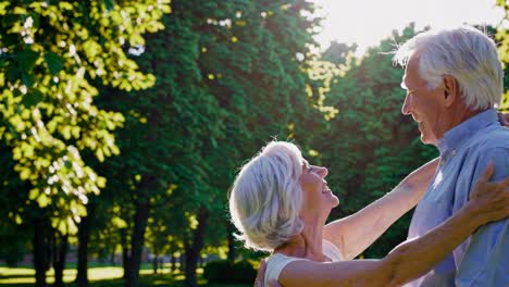 happy senior couple enjoying a moment in the park