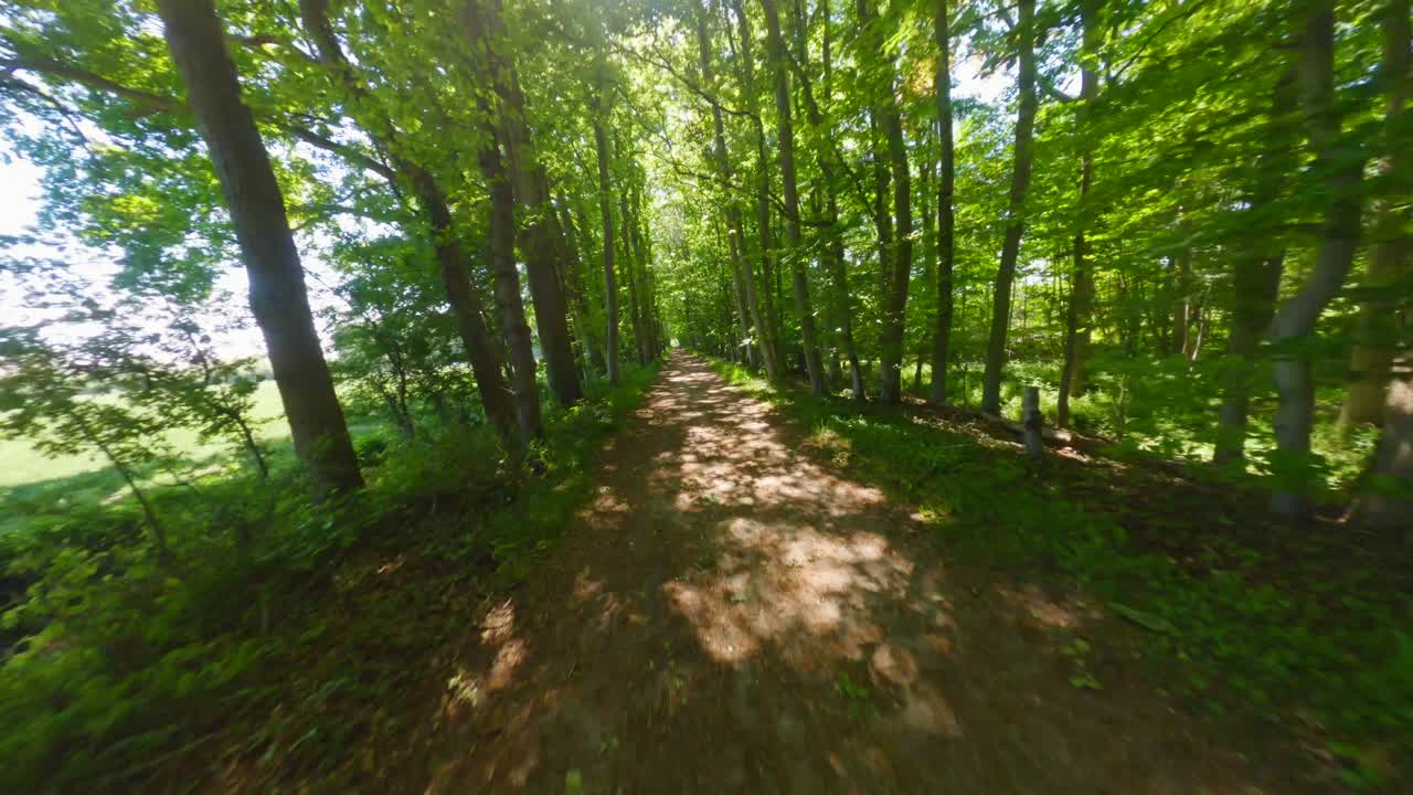 Aerial drone flight above forest trail with scattered light through trees