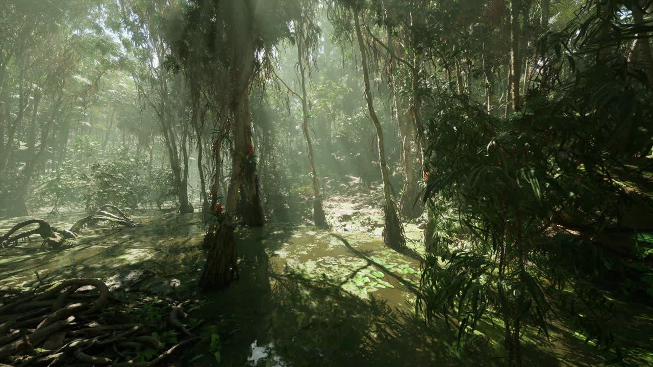 Frondoso paisaje forestal con la luz del sol filtrándose entre el denso follaje al mediodía