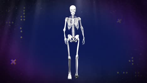 Animation-of-shapes-and-skeleton-on-blue-background