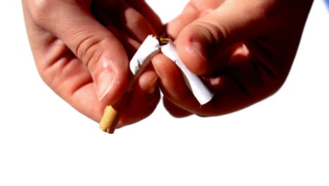 feminine hands cutting a cigarette in half