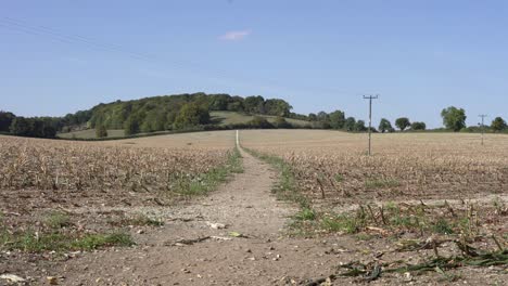 Vista-Del-Paisaje-De-Los-Campos-Dentro-Del-Reino-Unido