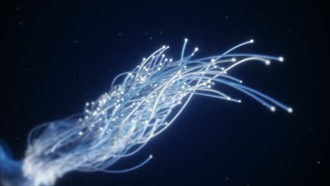 abstract fiber optic network visualization