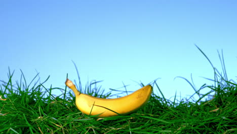 Banane-Fällt-Und-Springt-Auf-Gras