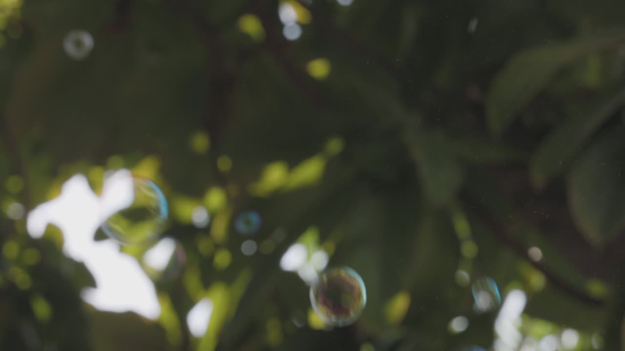 초록색 나무 배경으로 공중에서 날아다니는 4k 슬로 모션 비누 거품.