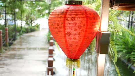 chinese red lantern of chinese new year