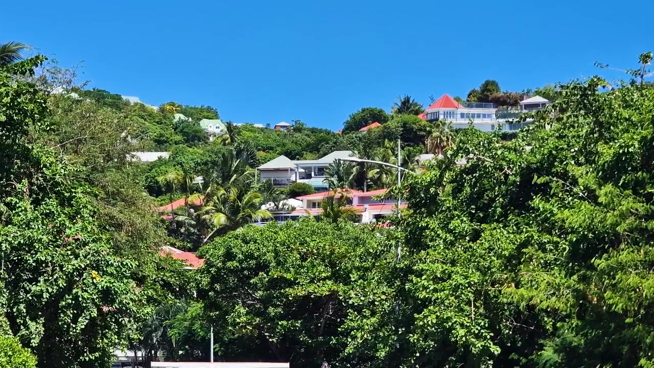 Case sull'isola di Saint Barthelemy, ville e case in collina in una lussureggiante vegetazione tropicale vicino al Mar dei Caraibi.