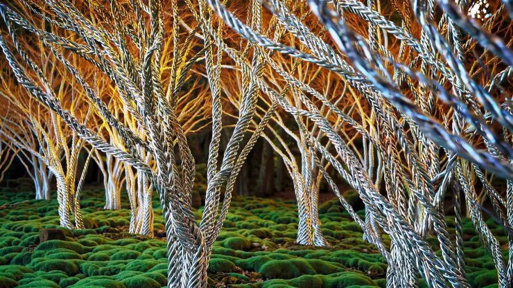 Scena surreale di una foresta con alberi contorti