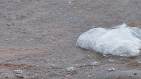 una bolsa de comestibles junto al mar