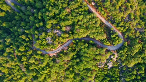 stunning aerial 4k drone footage of a empty road that glides through a lush, forested landscape