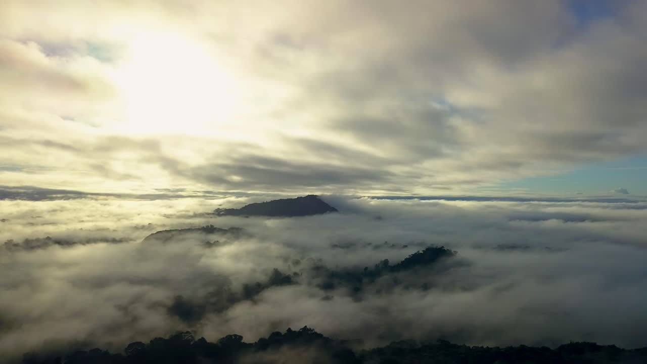 sipaliwini 지역의 수리남 흐린 열대 우림, 공중 파노라마 전망