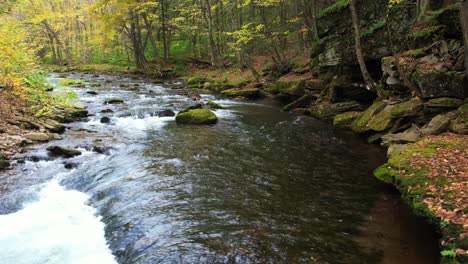 Beautiful-slow-motion-low-drone-footage-of-stunning,-mossy-autumnal-woodland-stream-deep-in-the-mountains