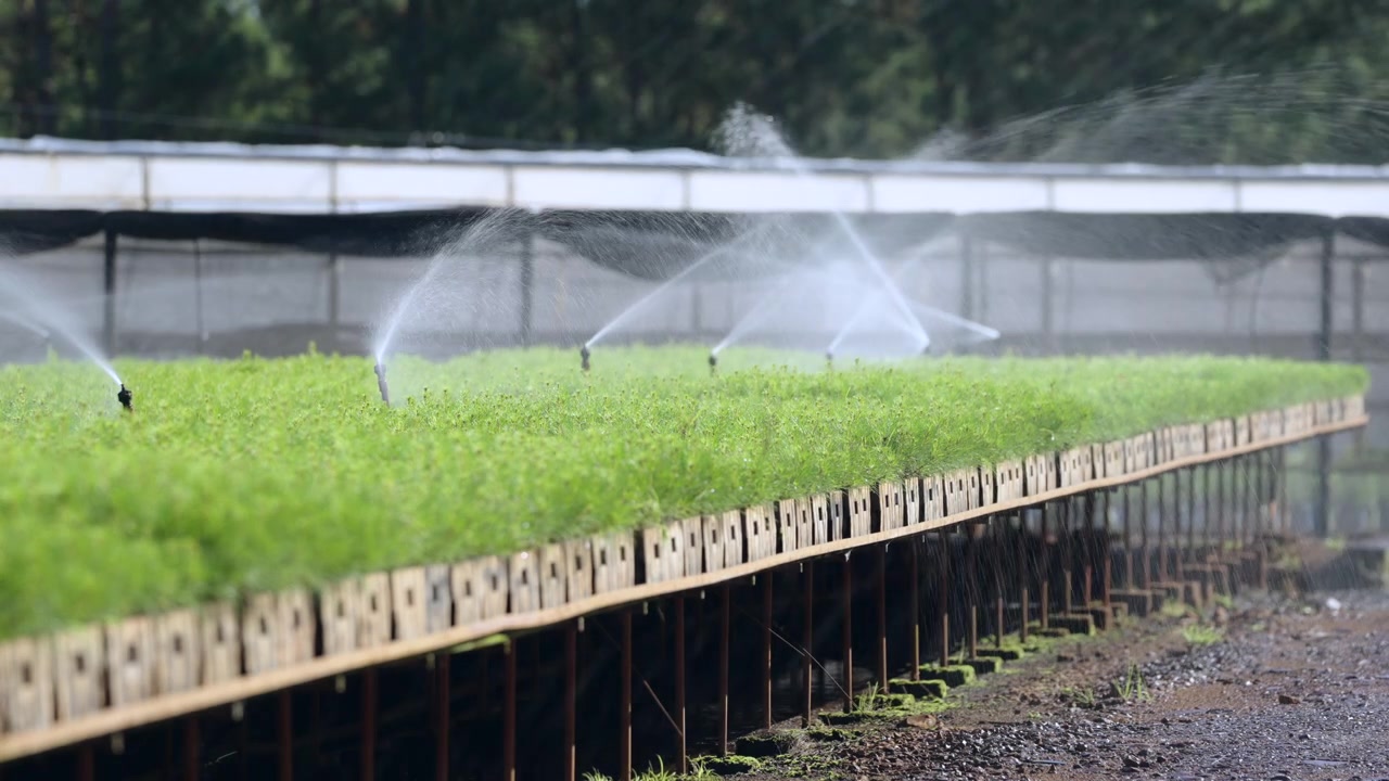 Irrigatori agricoli attivi vicino a una serra vivaio industriale sotto cieli grigi. Clip statica ravvicinata al rallentatore