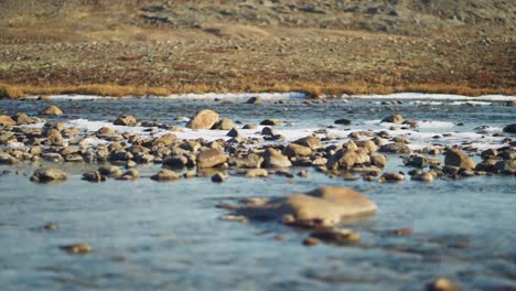 rocks in a cold river in the canadian tundra