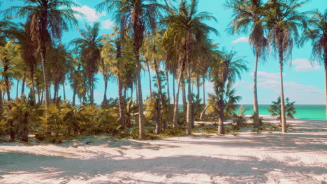 tropical beach paradise with palm trees