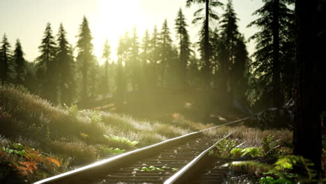 autumn colours along a railway track at sunset