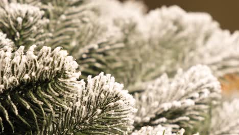 close up of woman decorating christmas tree at home close up of woman decorating christmas tree at home