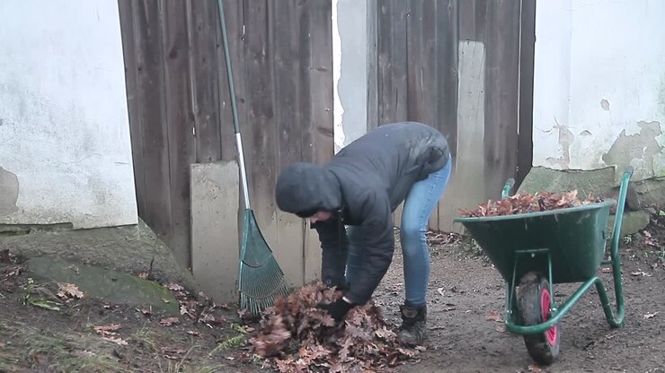 Rastrellare foglie in autunno in giardino, con persone, video stock.