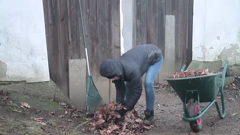 recogiendo hojas en otoño en el jardín con la gente imágenes de stock video de stock