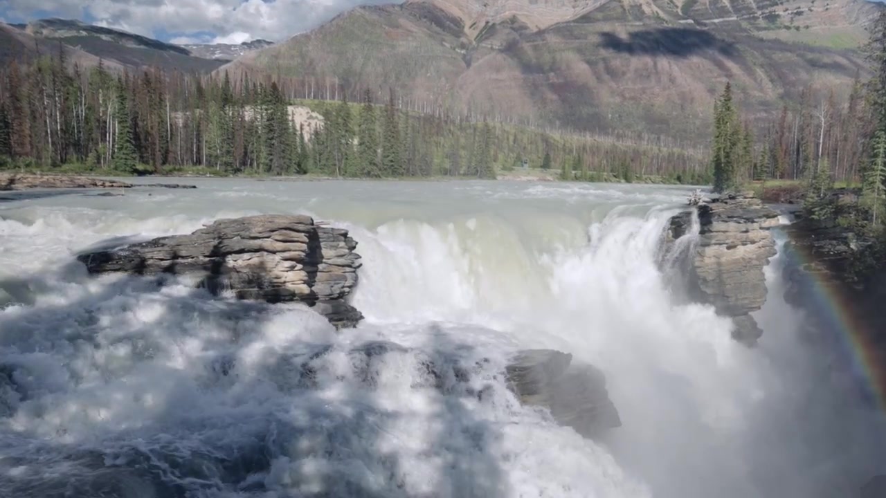 Una potente cascata d'acqua scende su roccia stratificata alle cascate Athabasca, con acqua bianca spumeggiante, foresta sempreverde, montagne distanti e un debole arcobaleno che si forma nella nebbia sotto la luminosa luce del giorno di Jasper.