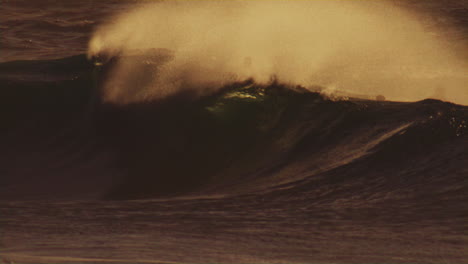 soft early morning light dances across waves as offshore winds pull ocean spray mist over top, barrel forms and erupts into whitewash