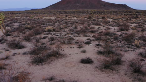 cima dome and volcanic field revealing scene