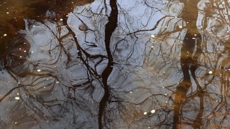 Los-árboles-Y-El-Cielo-Reflejados-En-Un-Arroyo-De-Movimiento-Lento-Crean-Un-Patrón-Abstracto-Tranquilo-Reflejado-En-La-Superficie-Del-Agua