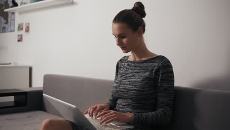 mujer concentrada trabajando en casa: está sentada en el sofá, trabajando con una computadora portátil y escribiendo texto mirando a la pantalla