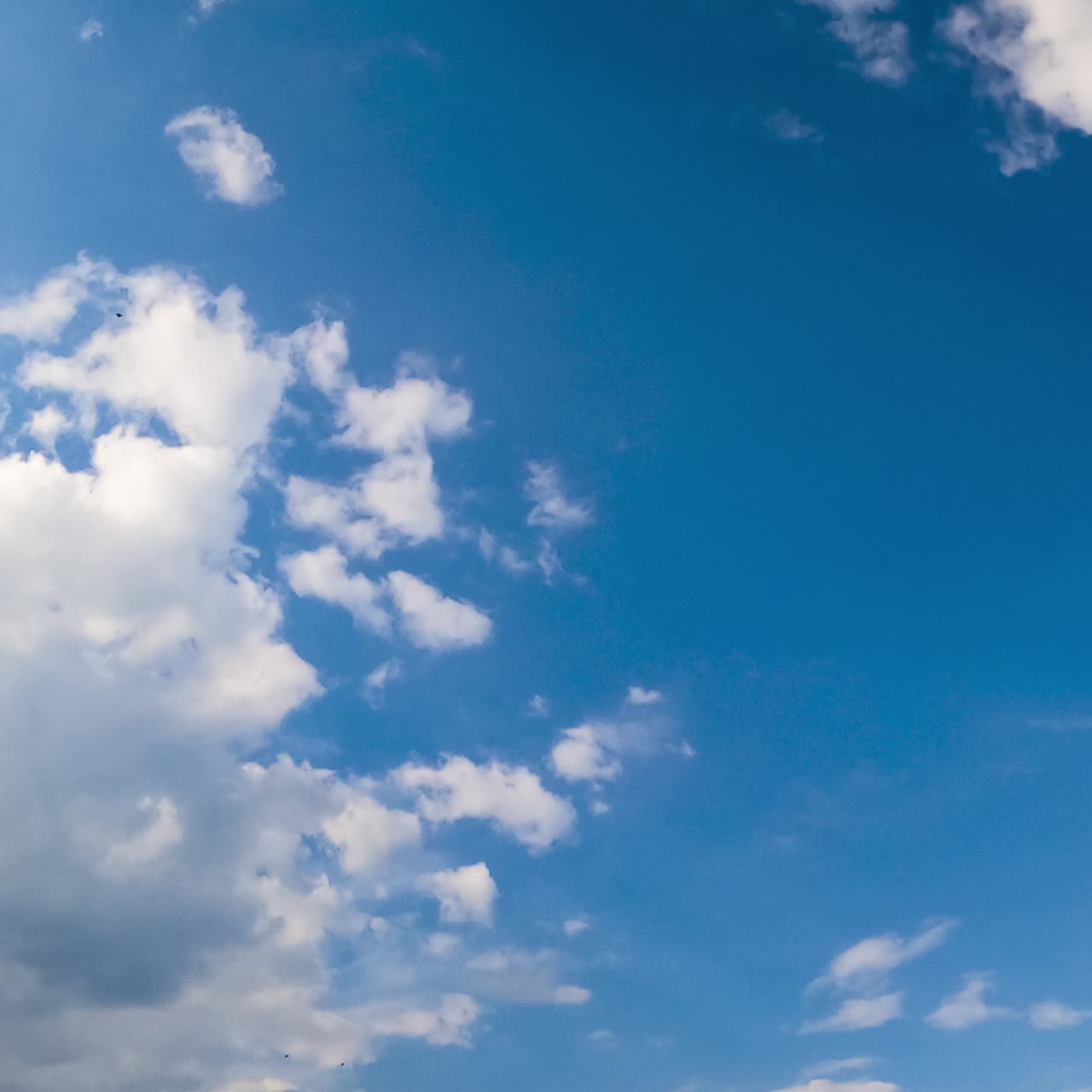 Amazing azure skies with white clouds slowly floating in the air. Cloudscape lit with bright summer sun. Low angle view timelapse