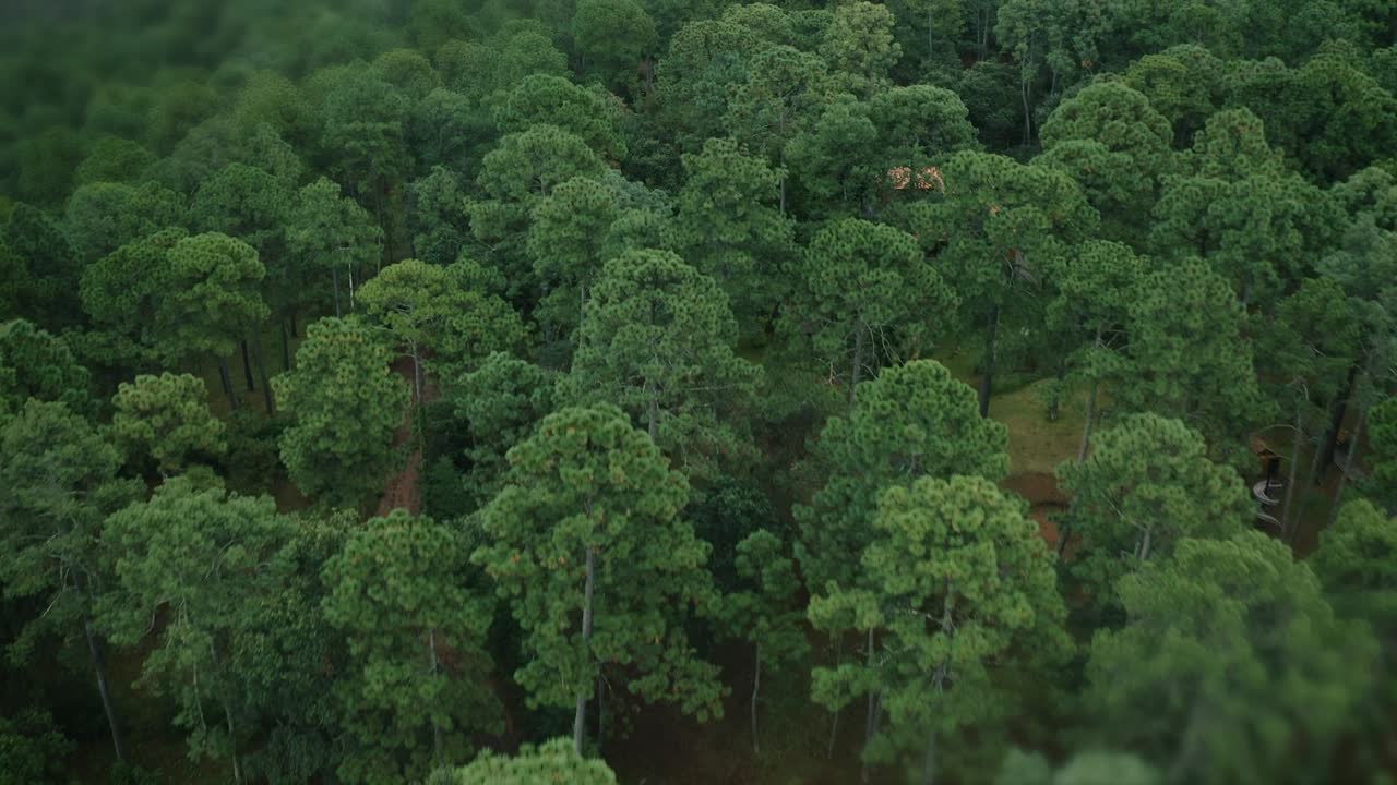 Stunning aerial footage of a tranquil forest lake reflecting cloud formations, surrounded by lush greenery. The calm, mirror-like water adds depth to this panoramic drone video