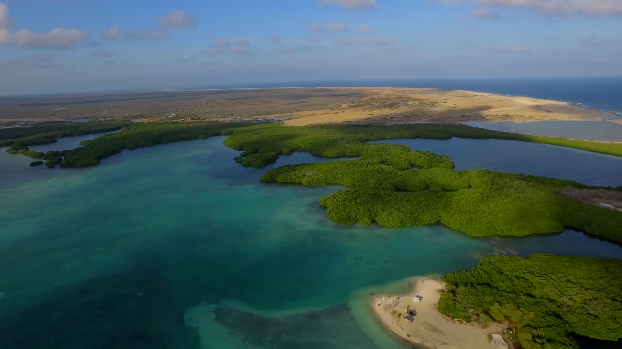 la laguna y los manglares de lac bay en bonaire, antillas holandesas