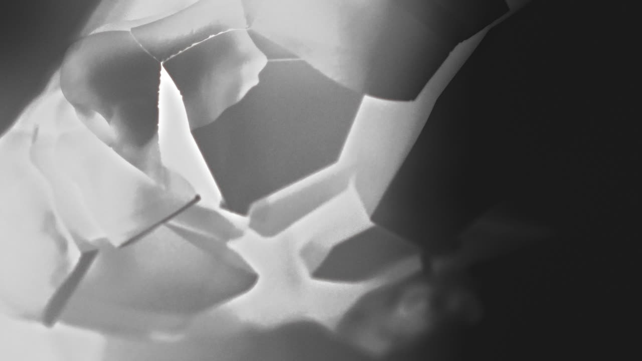 A broken mannequin head shell in xray