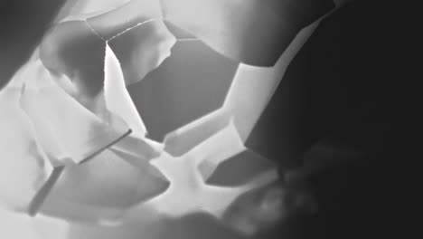 a broken mannequin head shell in xray