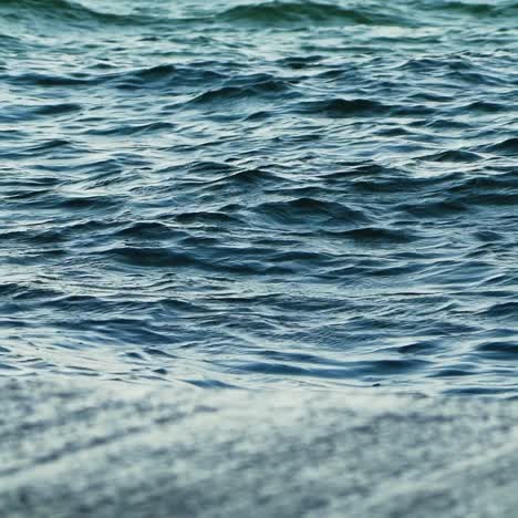 beautiful waves in the sea