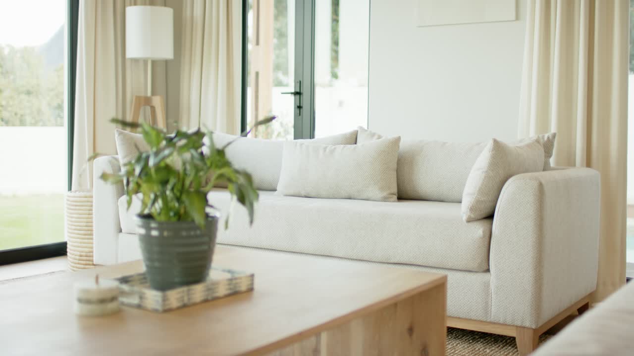 Lens focusing on potted green plant while cycling autofocus and panning right to reveal sofa