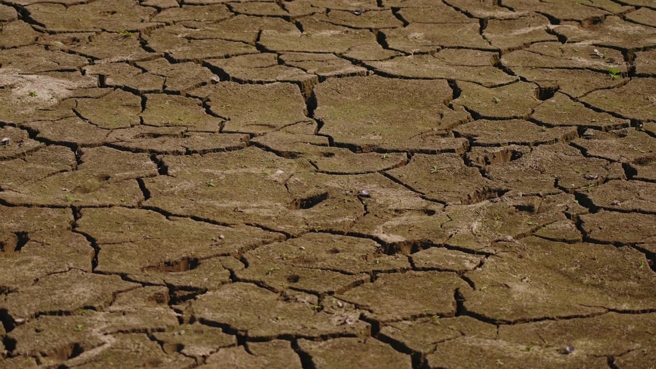 Close-up of dry brown soil with deep cracks and human footprints forming natural patterns, illustrating drought, heat, water scarcity, extreme dryness and environmental change.