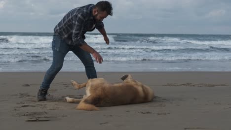 Interacción-Animal-Humano