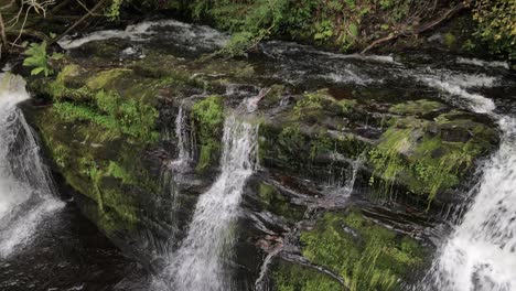 arroyo en cascada en los bosques naturales del reino unido